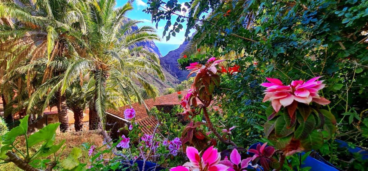 Paradise Tenerife Сан-Мігель-де-Абона Екстер'єр фото
